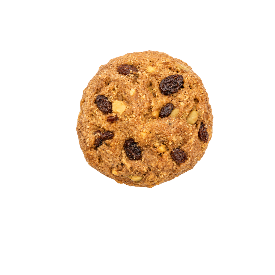 A single round baked oatmeal raisin cookie with dark raisins and light nut pieces, centered on a plain white background.